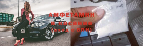 индика Магас