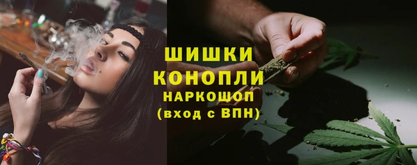 индика Магас