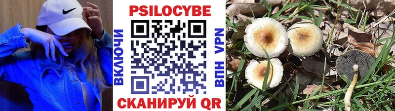 Купить закладки  Волжск  Галлюциногенные грибы GOLDEN TEACHER 